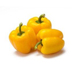 Fresh Yellow Capcicum