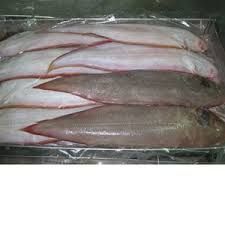 Frozen Sole Fish