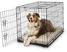 Dog Cage