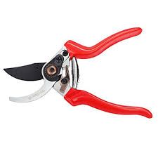 hand pruner