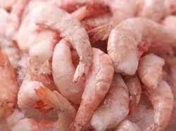 Frozen Shrimp Meat