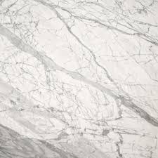 Venatino White Marble