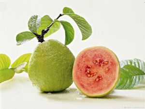 Korean Guava