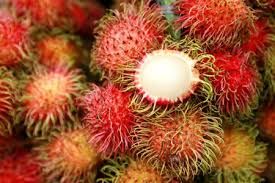 Rambutan Fruit