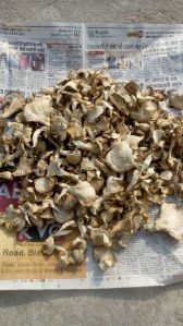 Organic Dried Mushroom