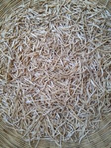 Organic Dried Shatavari Roots