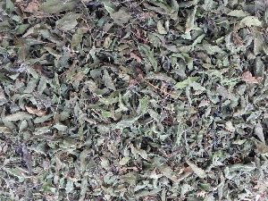 Organic Tulsi Leaves