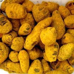 Nizamabad Turmeric Bulb