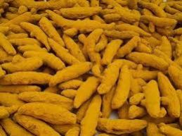 Salem Turmeric Finger