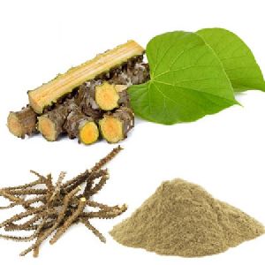 Tinospora Cordifollia Extract