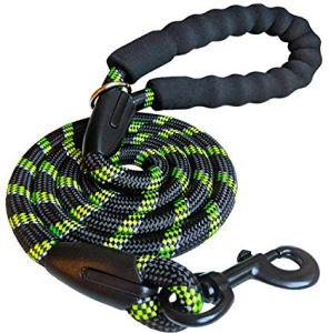 Dog Polyester Leash