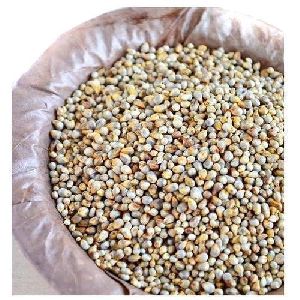 Natural Pearl Millet Seeds