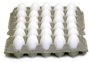 White Poultry Eggs