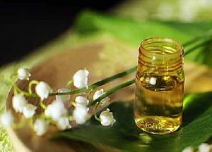 Jasmine Oil