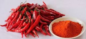 Hot Red Chilli Powder