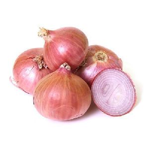 Fresh Pink Onion