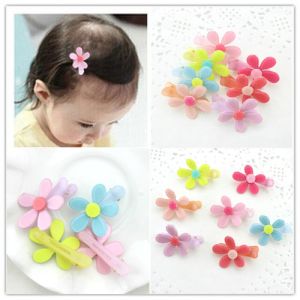 Fancy Plastic Hair Clips