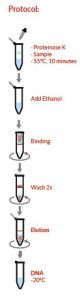 sperm DNA Isolation kit