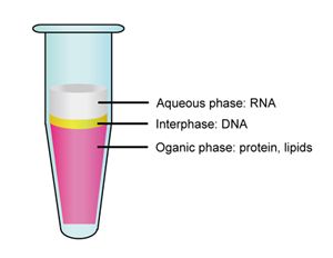 RNA isolater Total RNA Extraction Reagent Trizol_100 ml