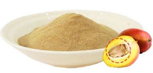 mango seed powder