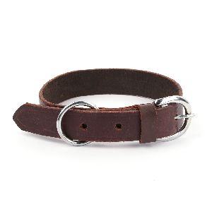 pet collars