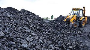 Industrial Steam Coal