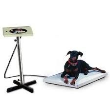 Animal Weighing Scales