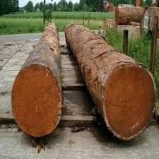 Honne Wood Sal Round Logs