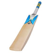 Cricket Bat