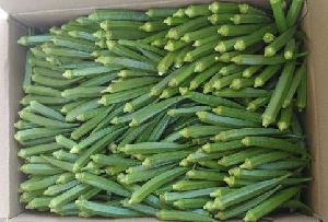 Fresh Okra