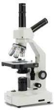 Microscopes