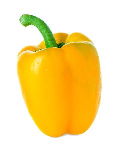 Yellow Capsicum