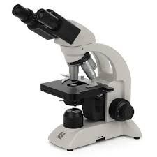 Microscopes