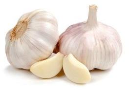 Raw Garlic