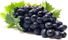 Black Grapes