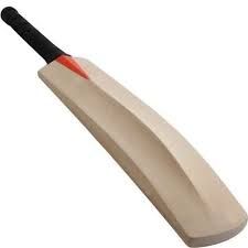 Wooden Cricket Bat