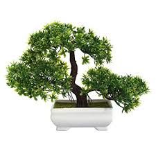 Artificial Potted Plants And Bonsai