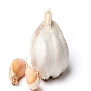 Raw Fresh Garlic