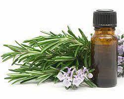 Rosemary Extract