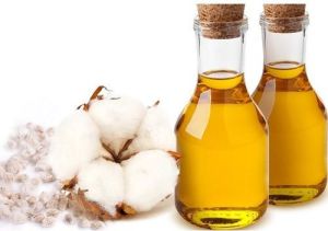 Cotton Seed Oil