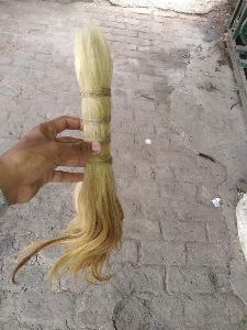 Horse Tail and Goat Hair