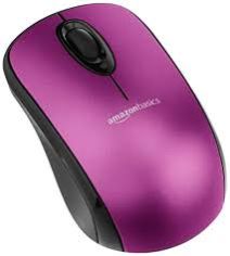 Computer Mouse