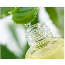 Aloe Vera Extracts