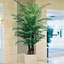 Artificial Plants