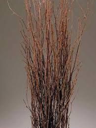 Decorative Stems