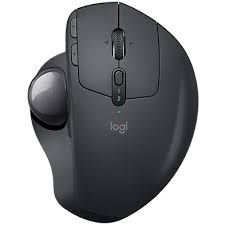 Logitech Computer Mouse