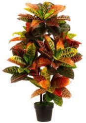 Artificial Croton Tree