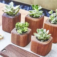 Wooden Pots