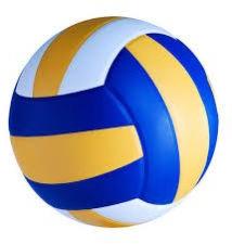 Volley Balls