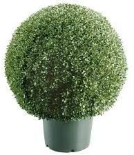 Artificial Green Plant With Algae Wood Pot